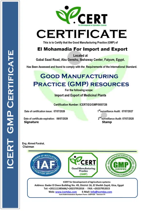 GMP — Good Manufacturing Practice