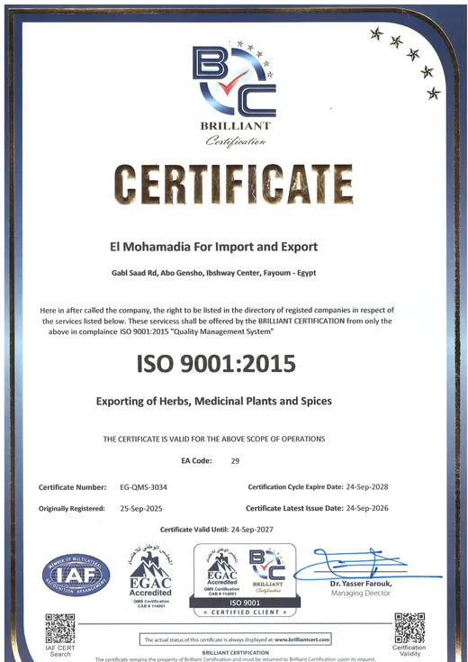 ISO 9001:2015 — Quality Management System