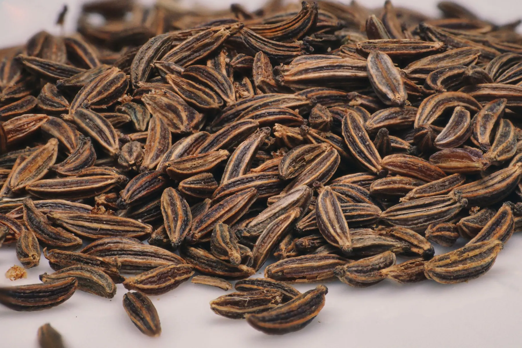 Caraway Seeds